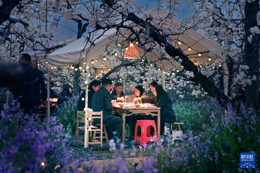 안후이 당산, 배꽃 활짝 피며 ‘봄 경제’ 불붙다