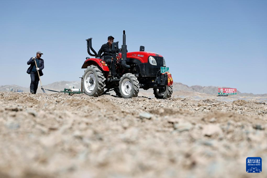 닝샤 중웨이, 고비 사막에 ‘녹색 보석’ 심다