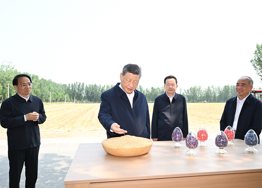 시진핑 주석, 산둥성 더저우시 시찰