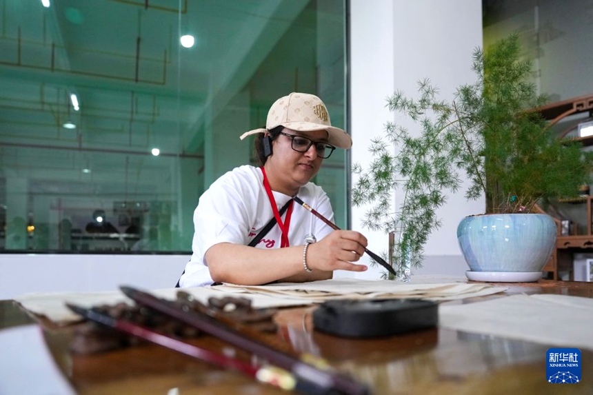 윈난 멍하이, 전 사슬 고도화로 차 산업 경쟁력 강화