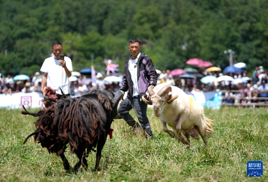 쓰촨 웨시, 이족 훠바제 열기 '후끈'