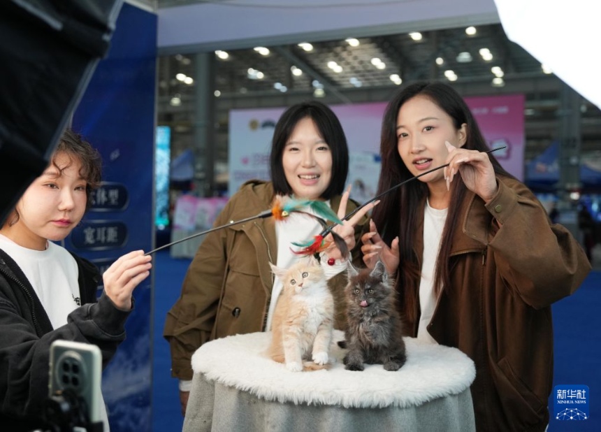 안산 펫페어, 반려동물 경제로 도시 다각화 발전 이끌어