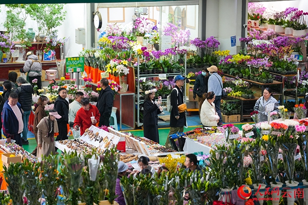 中 윈난성, 작년 對아세안 수출입 규모 1320억 8000만 위안…역대 최대