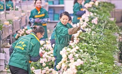 中 간쑤 꽃 해외 진출