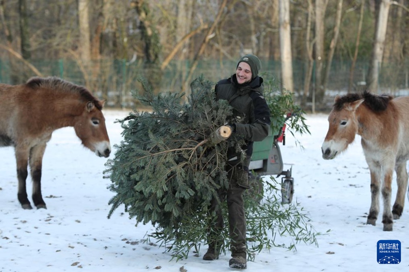 中-獨, 프르제발스키말 야생 복원에 손잡아