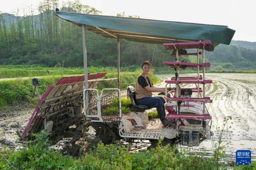 후난 30대 신세대 농부 “젊음과 지혜로 짓는 농사”