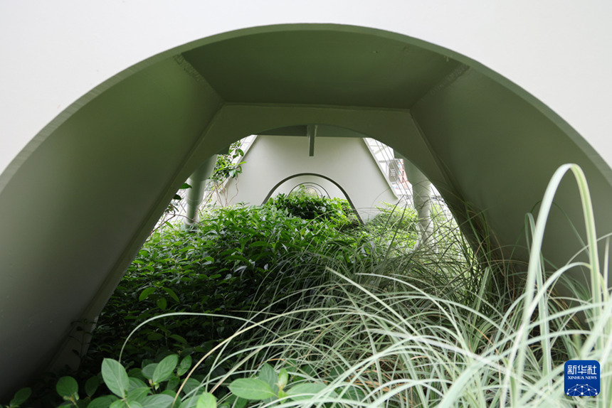 선전, 생태 통로 교량 건설…야생동물 이동 위한 충분한 공간 확보