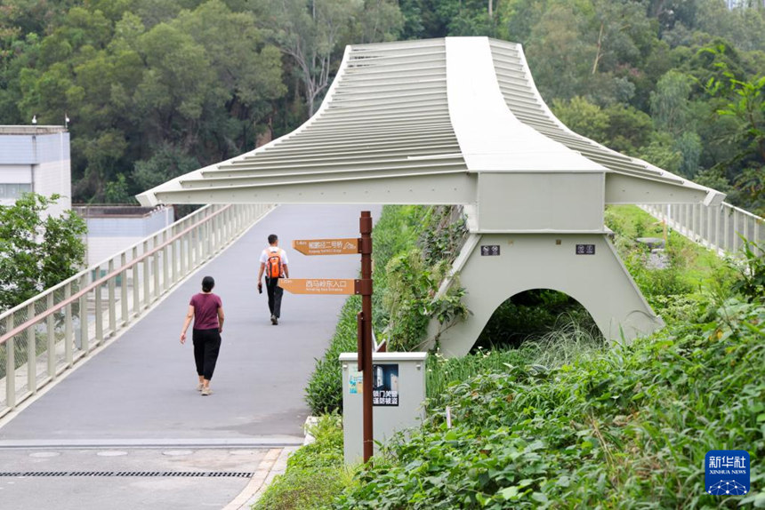 선전, 생태 통로 교량 건설…야생동물 이동 위한 충분한 공간 확보