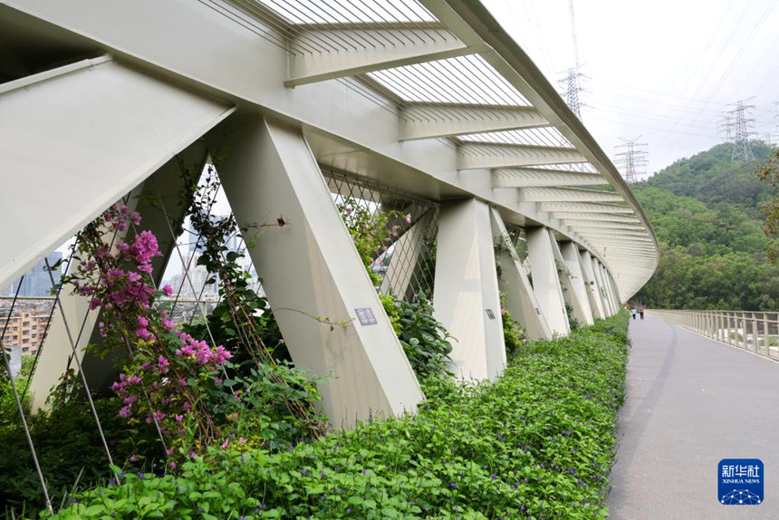 선전, 생태 통로 교량 건설…야생동물 이동 위한 충분한 공간 확보