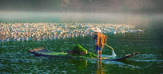 목초 사육하는 린우오리