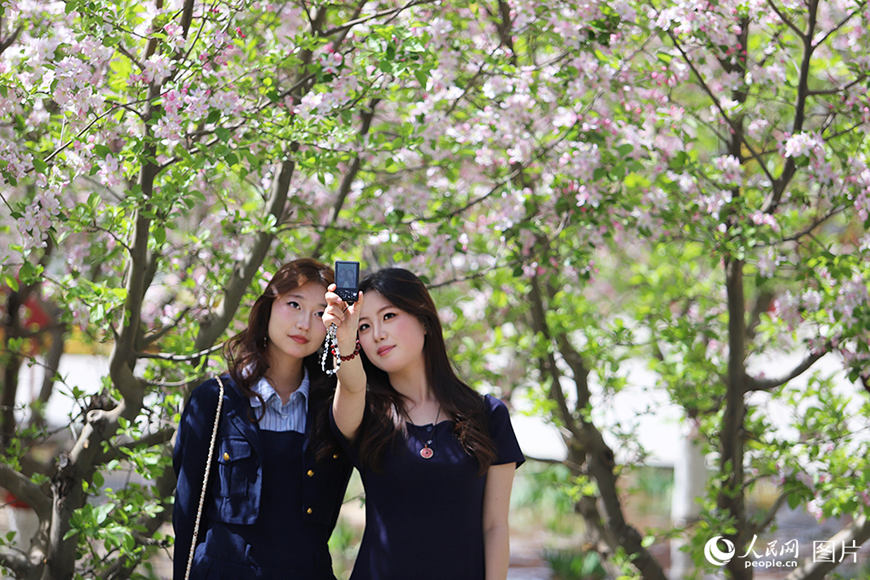 봄꽃이 ‘피다’…‘꽃놀이’가 ‘돈벌이’로