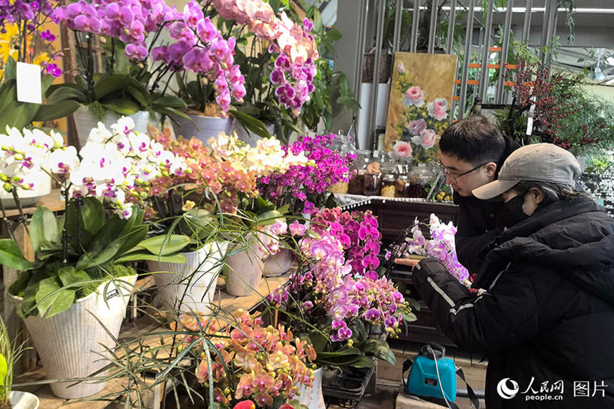 봄꽃이 ‘피다’…‘꽃놀이’가 ‘돈벌이’로