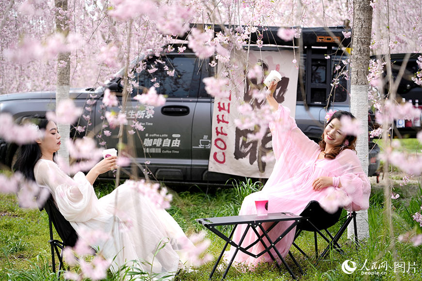 봄꽃이 ‘피다’…‘꽃놀이’가 ‘돈벌이’로