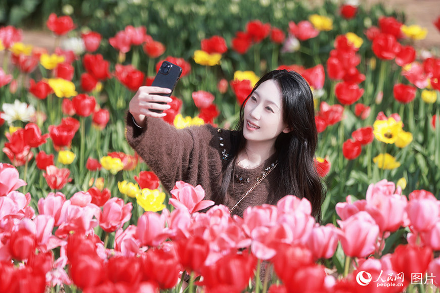 봄꽃이 ‘피다’…‘꽃놀이’가 ‘돈벌이’로