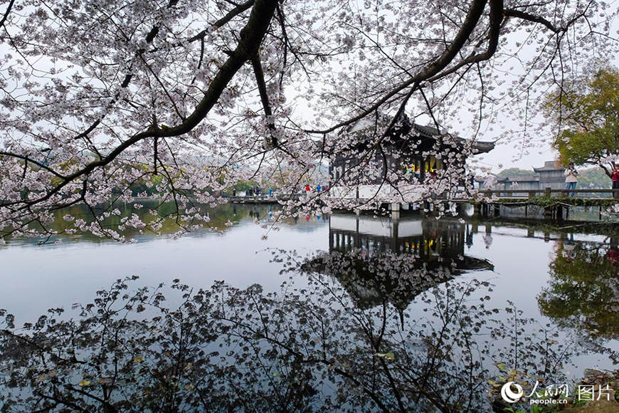 봄꽃이 ‘피다’…‘꽃놀이’가 ‘돈벌이’로