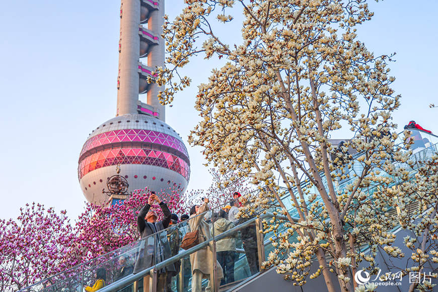 봄꽃이 ‘피다’…‘꽃놀이’가 ‘돈벌이’로