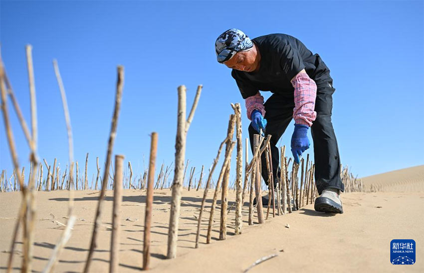中 네이멍구 항진기 모래방지사업, 황허강유역 일대 대폭 개선