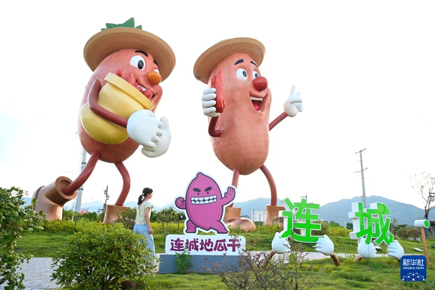푸젠 롄청, 작은 고구마 말랭이가 대형 산업 이루다