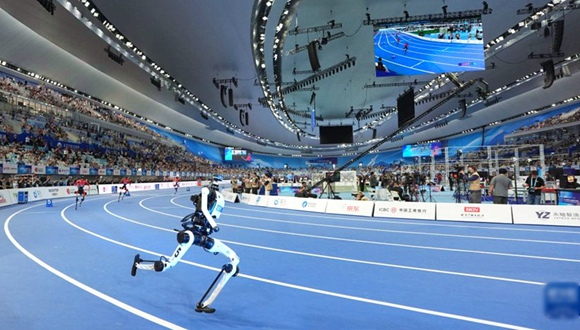 2026 세계 휴머노이드 로봇 운동회 개막 8월 22일 저녁, 제2회 세계 휴머노이드 로봇 운동회가 베이징 국가 스피드스케이팅 경기장 ‘빙쓰다이’에서 개막했다. 더보기>