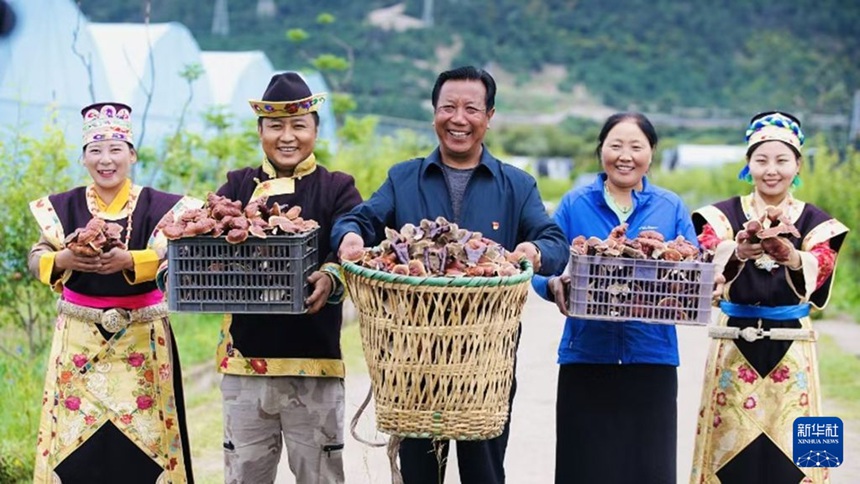 시짱, 두 세대가 함께 일군 ‘영지 재배’로 빈곤 탈출...연매출 920만 위안