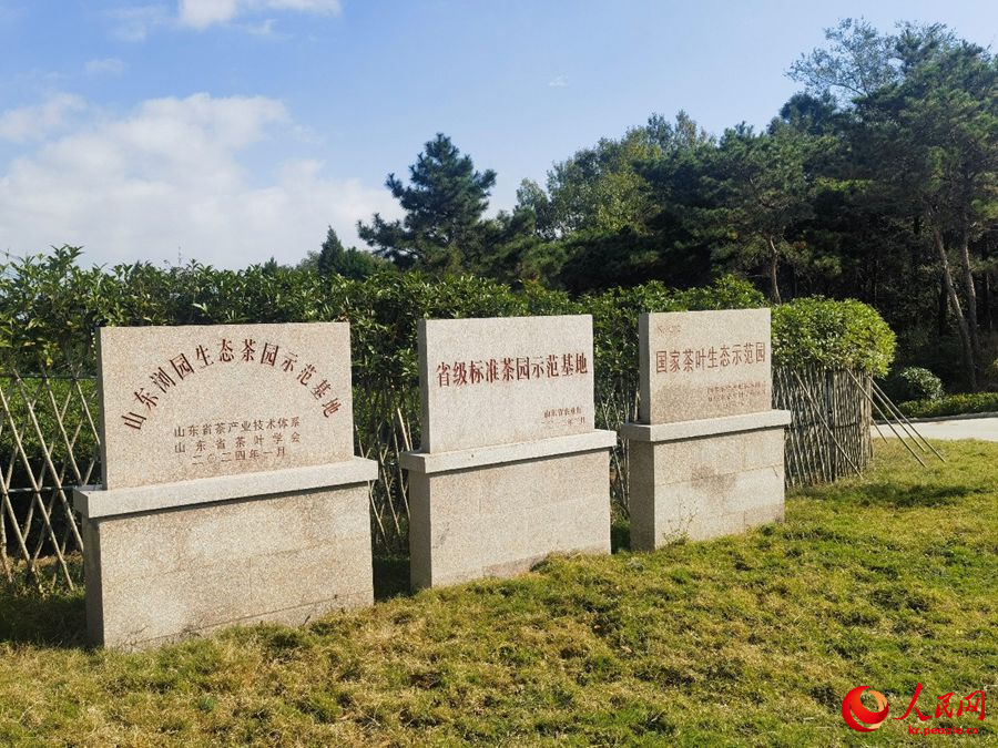 류위안춘 유기농 차원은 ‘국가 차잎 생태 시범원’ 등 다수의 영예를 획득했다. [사진 촬영: 천웨이싱]